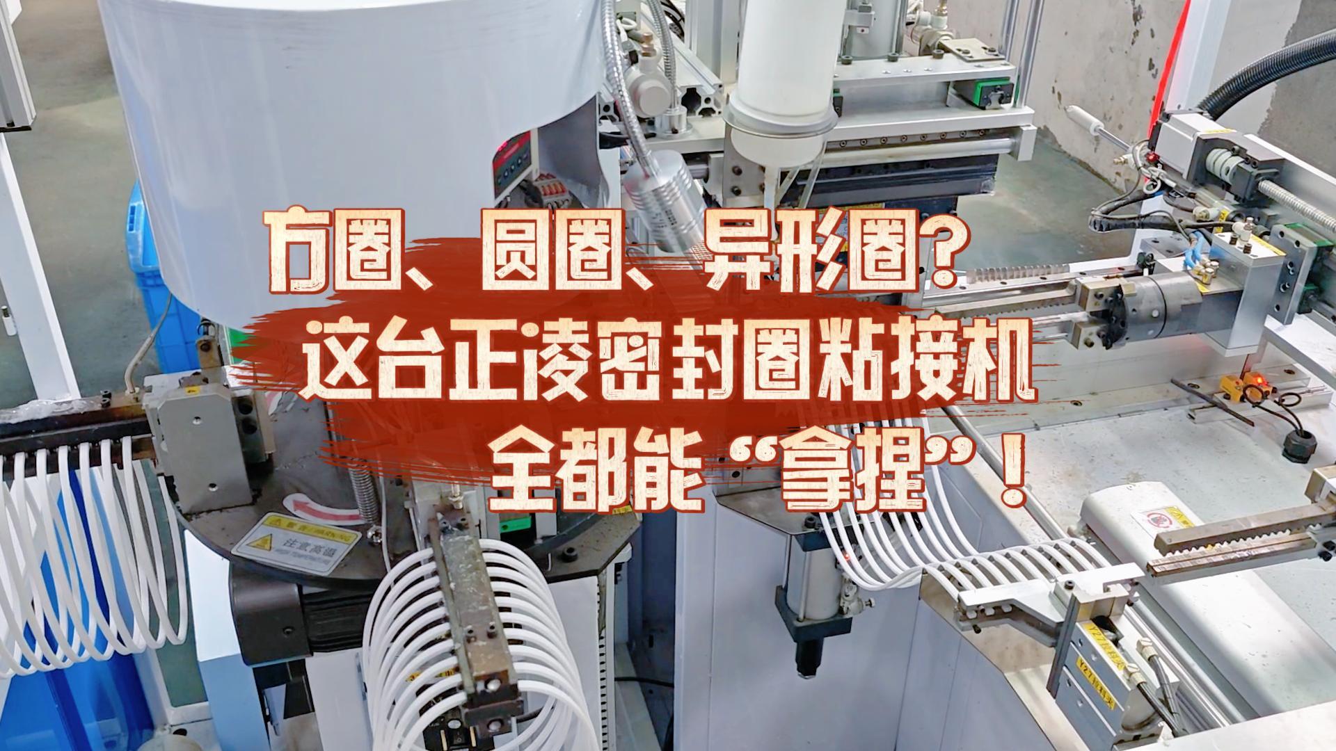 方圈、圓圈、異形圈？這臺全自動化密封圈粘接機全都能“拿捏”！